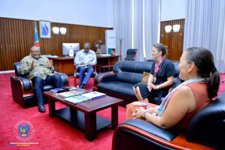 RDC : La Belgique renouvelle son soutien aux efforts du Gouvernement en faveur du rétablissement de la paix