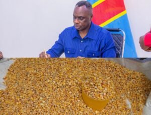 Flambée du prix du maïs à Mbujimayi : Jean-Paul Mbwebwa appelle au respect du prix de référence de 3 500 CDF